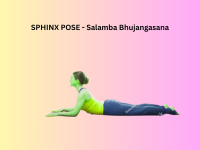 SPHINX-POSE-SALABA-BHUJAGASANA