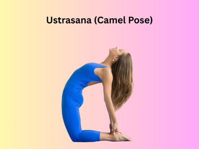 CAMEL POSE